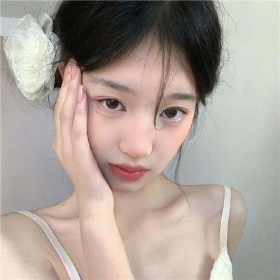 五十一号档案