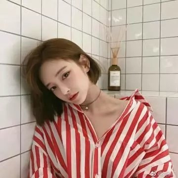 白象